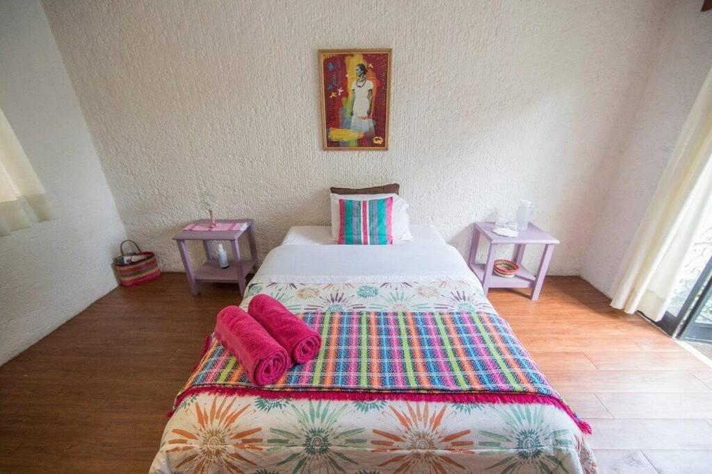 Villa Casa Ayvar. Espectacular Villa Colonial En El Corazon De Coyoacan. Ciudad de México Exteriér fotografie