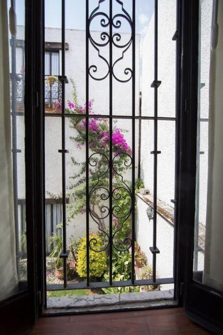 Villa Casa Ayvar. Espectacular Villa Colonial En El Corazon De Coyoacan. Ciudad de México Exteriér fotografie